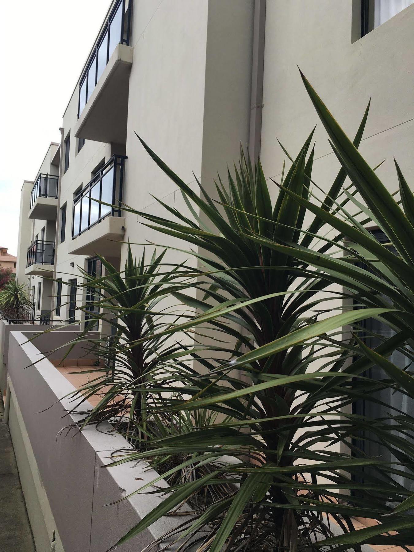 Wollongong Serviced Apartments Екстер'єр фото